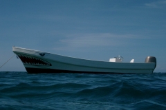 Lancha Tiburon1