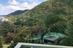 WhatsApp Image 2019-02-15 at 3.23.34 PM(2)