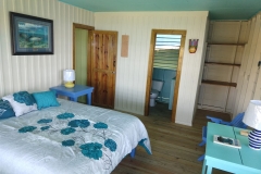 WhatsApp Image 2019-03-06 at 8.49.20 PM