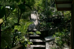 IMGP0016