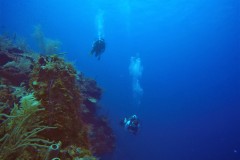 DCIM\100GOPRO\GOPR0579.JPG