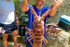 Jordan-with-Big-Lobster