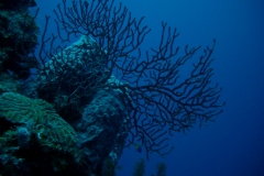 test-photos1-173