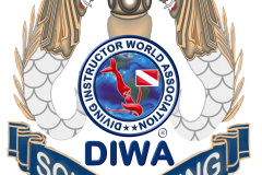 DIWA-LOGO1
