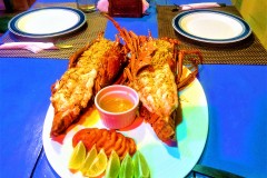Lobster-Tails