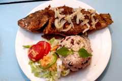 sample-meal-plate-2